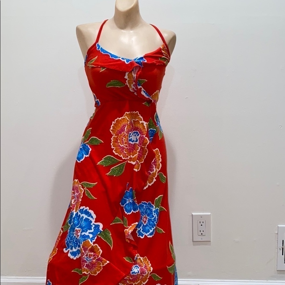 Planet Gold Red Floral Dress